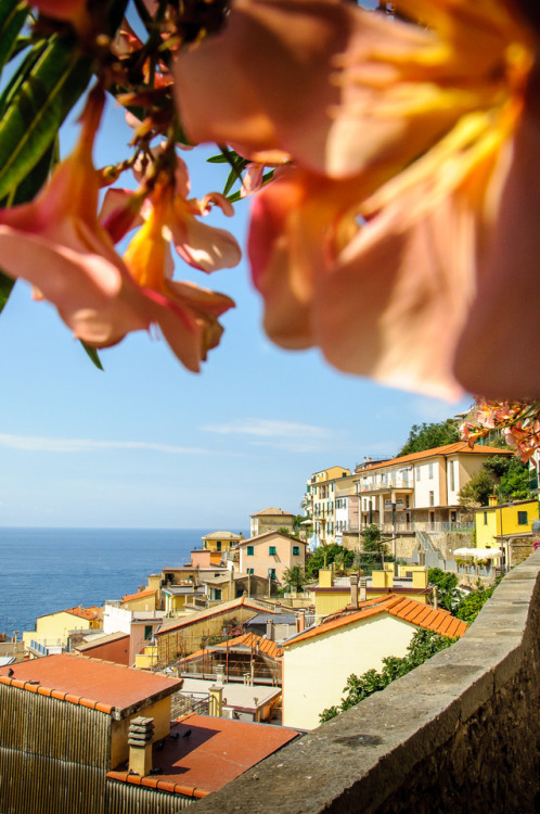 wanderlust wednesday